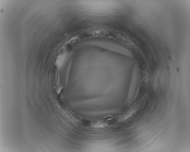 X0000070410754200606302036