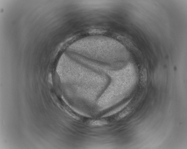 X0000070410755200606302036