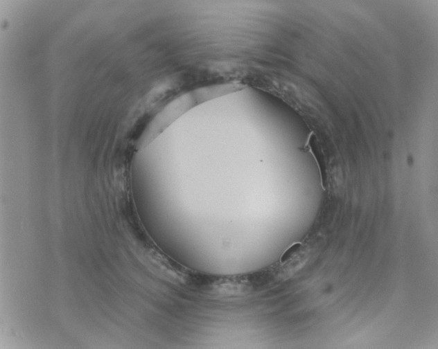 X0000070410756200606302036