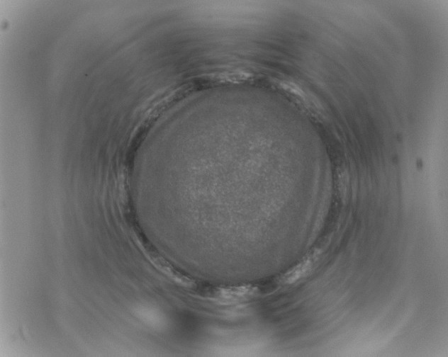 X0000070410757200606302036