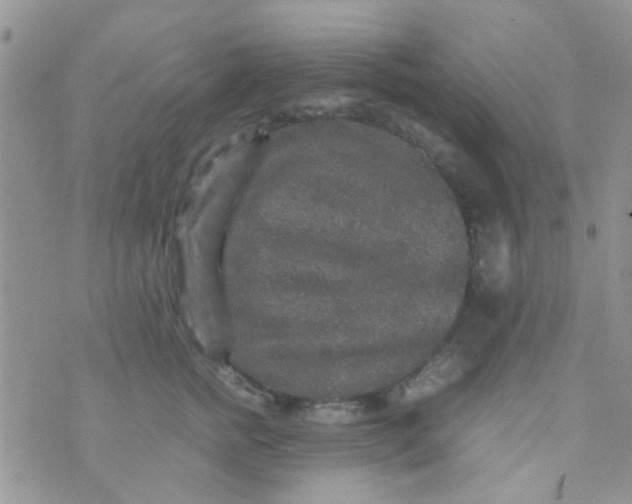 X0000070410758200606302036