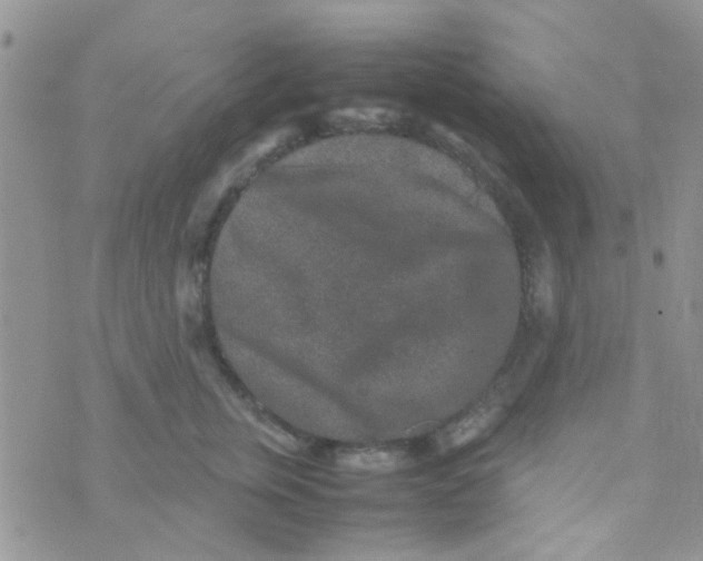 X0000070410759200606302036