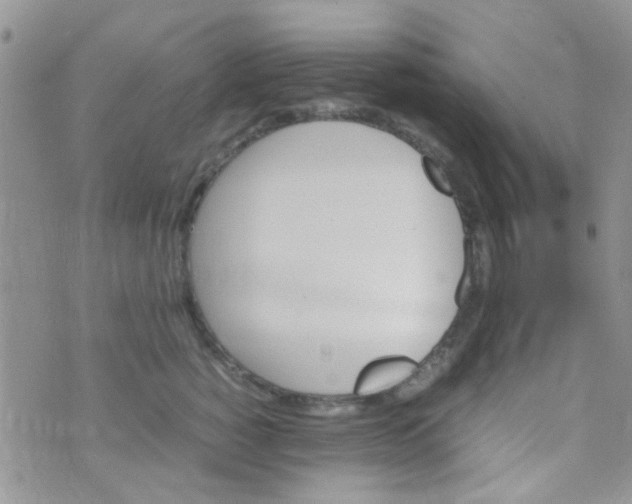 X0000070410760200606302036