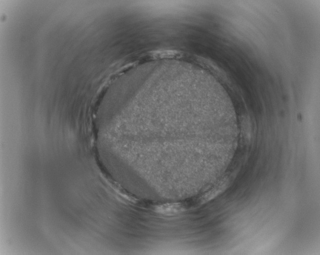 X0000070410761200606302036