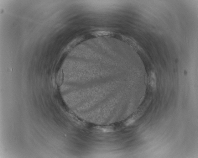 X0000070410763200606302036