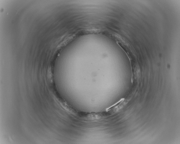 X0000070410764200606302036