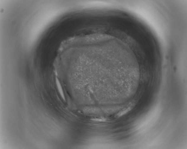 X0000070410765200606302036