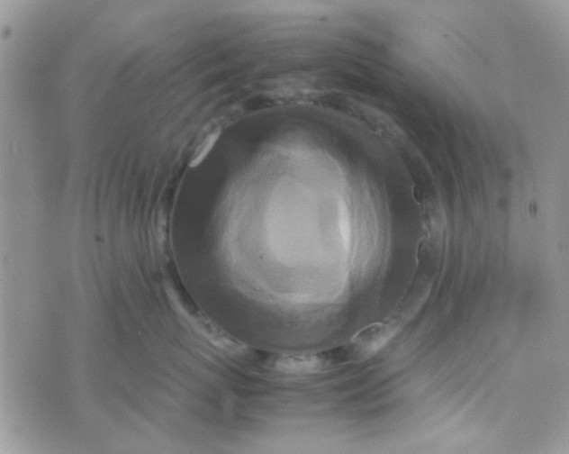 X0000070410767200606302036