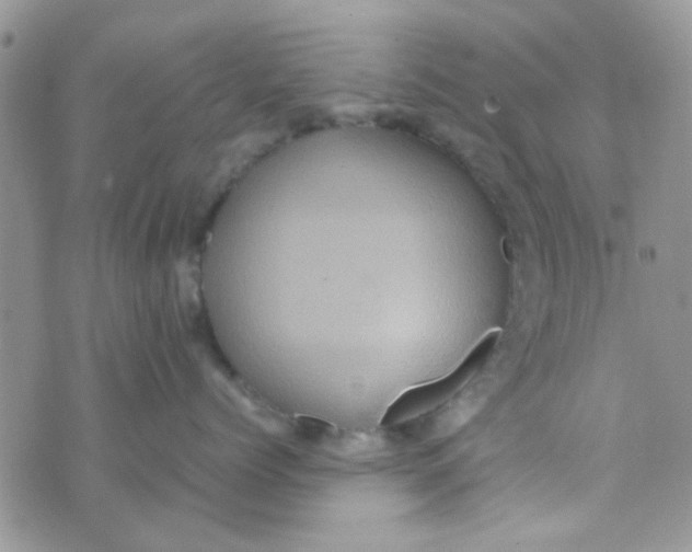 X0000070410768200606302036