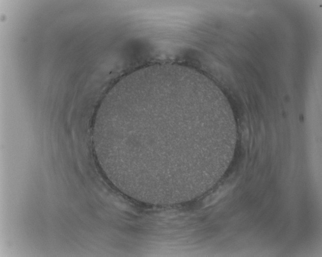 X0000070410769200606302035