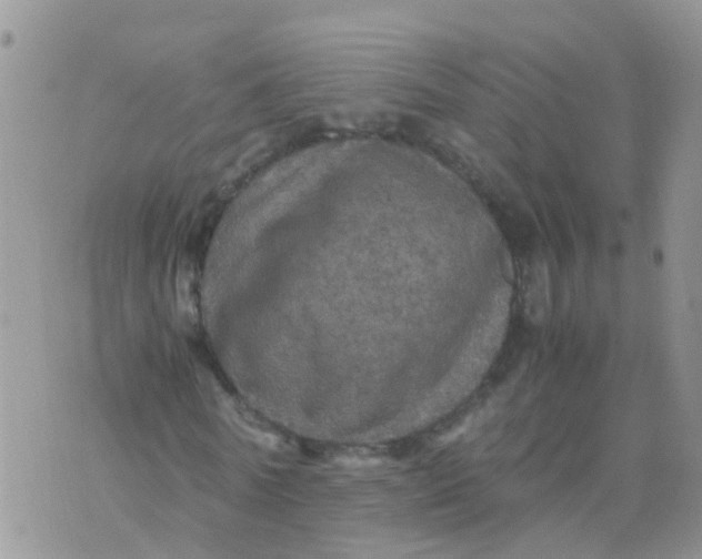 X0000070410770200606302035