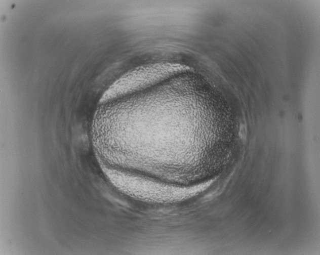 X0000070410771200606302035