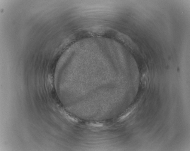 X0000070410772200606302035