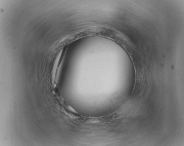 X0000070410773200606302035