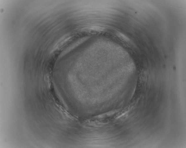 X0000070410774200606302035