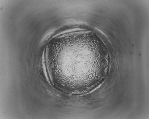 X0000070410775200606302035