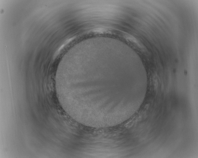 X0000070410776200606302035