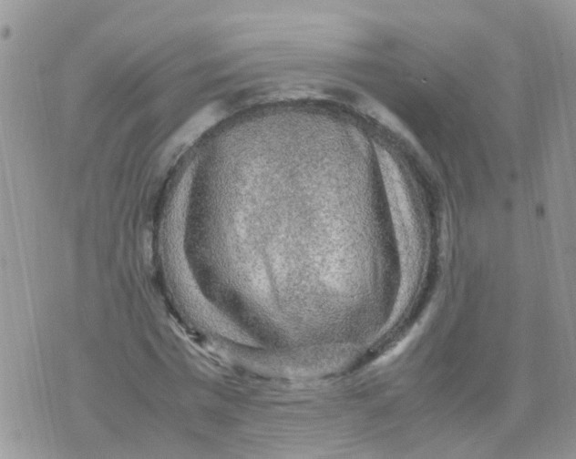 X0000070410777200606302035