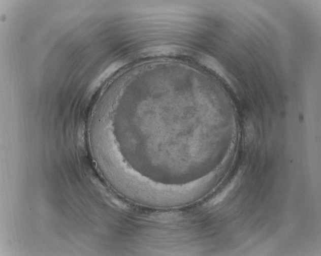 X0000070410778200606302035