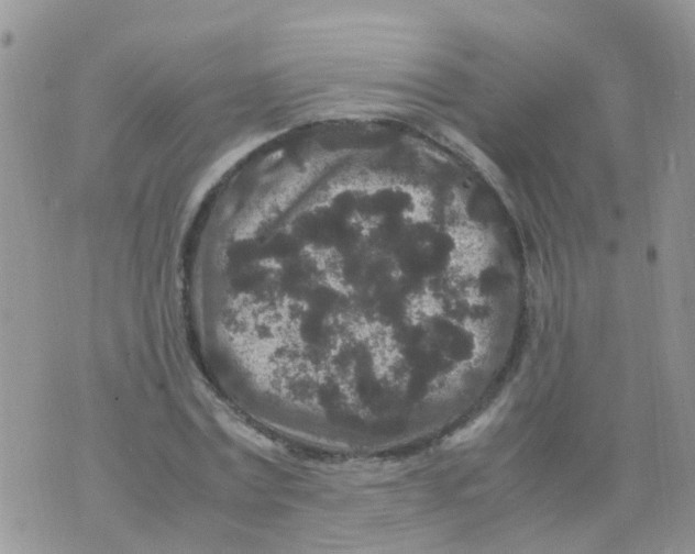 X0000070410779200606302035