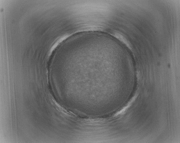 X0000070410781200606302035