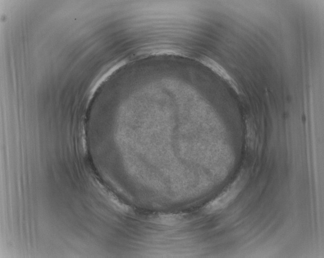 X0000070410782200606302035