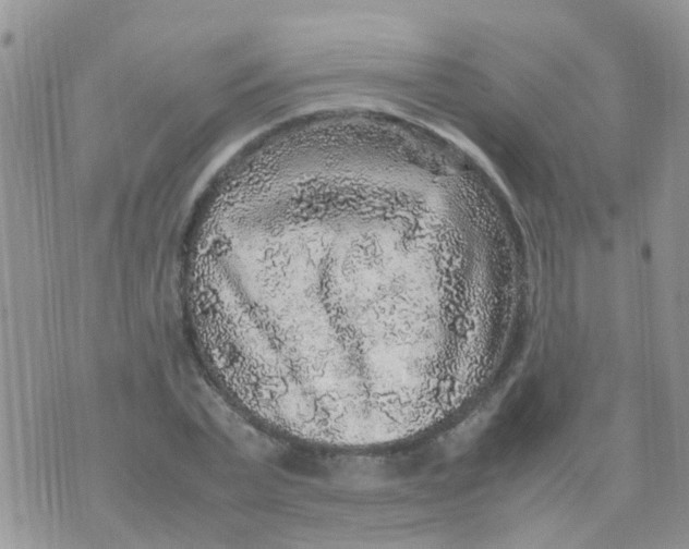 X0000070410783200606302035