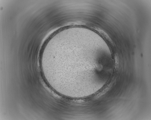 X0000070410784200606302035