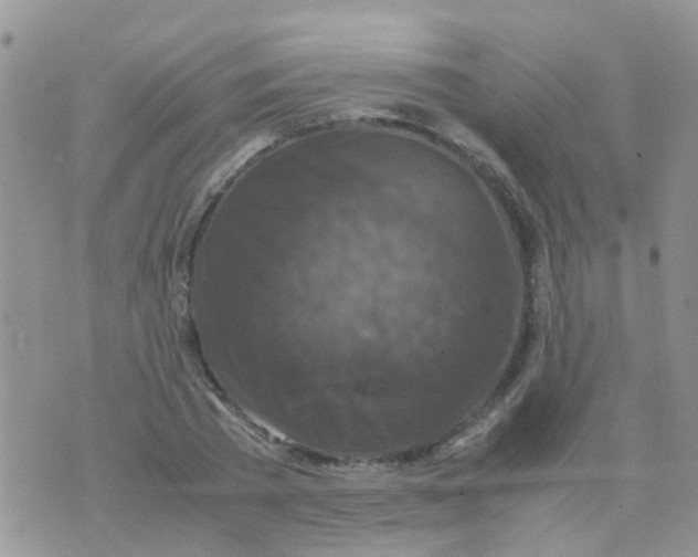 X0000070410785200606302035