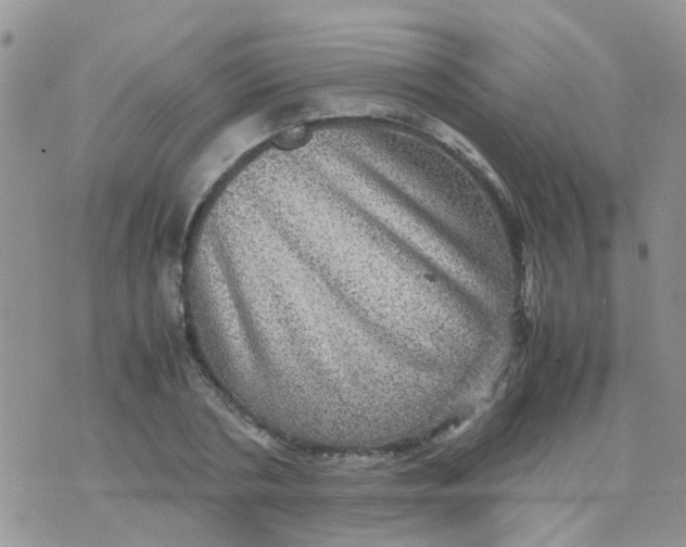 X0000070410786200606302035