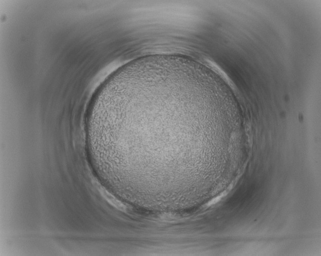 X0000070410787200606302035