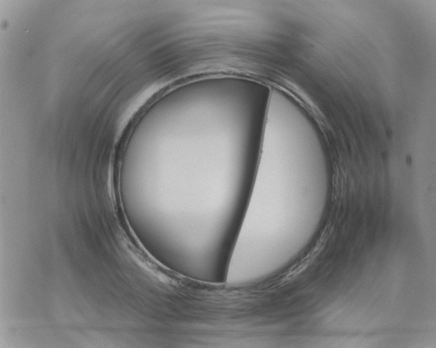 X0000070410788200606302035