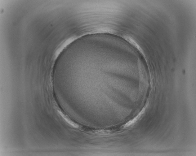 X0000070410789200606302035