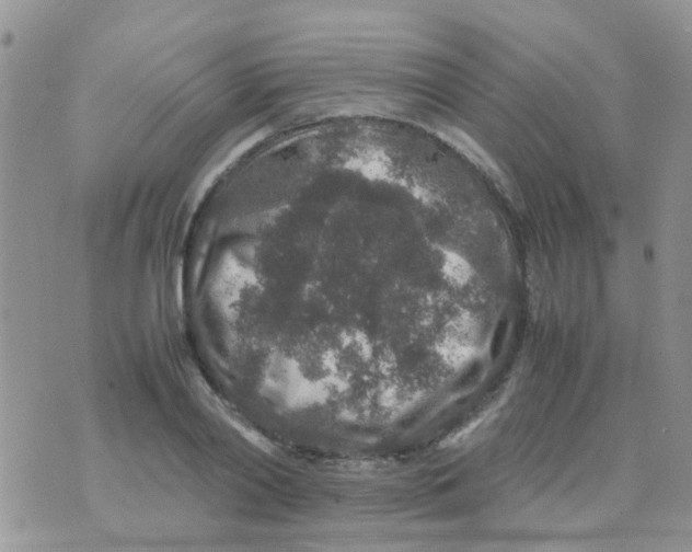 X0000070410790200606302035