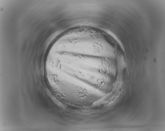 X0000070410791200606302035