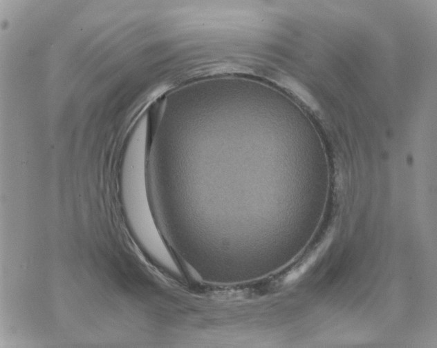 X0000070410793200606302035