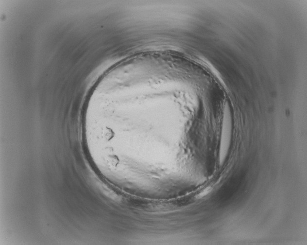 X0000070410795200606302035