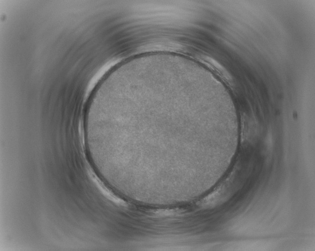 X0000070410796200606302035