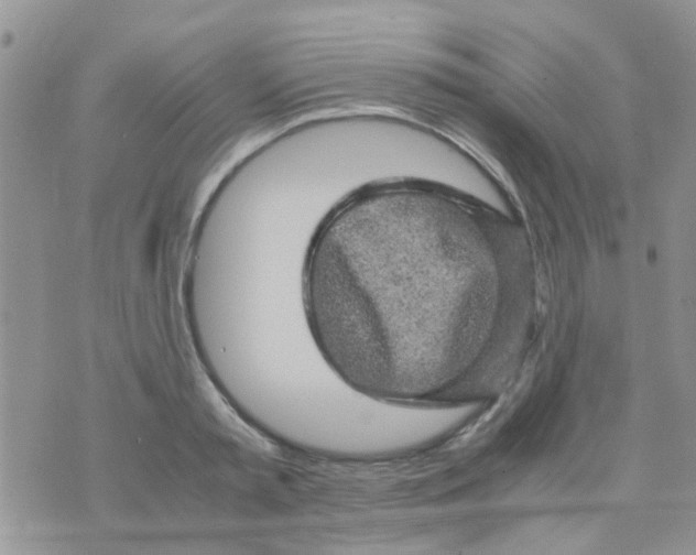 X0000070410797200606302035