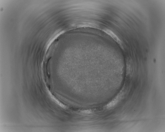 X0000070410798200606302035