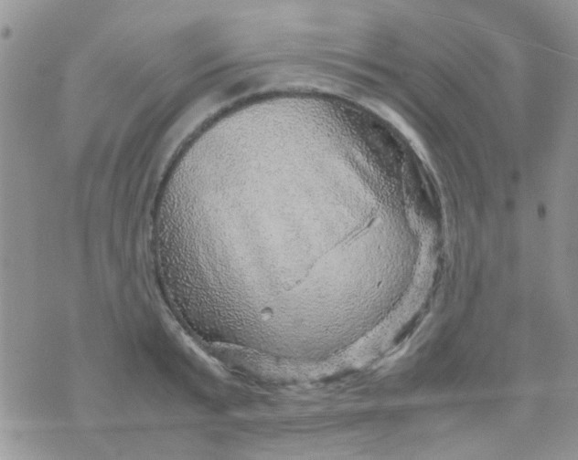 X0000070410799200606302035