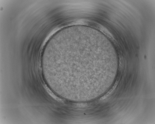 X0000070410800200606302035