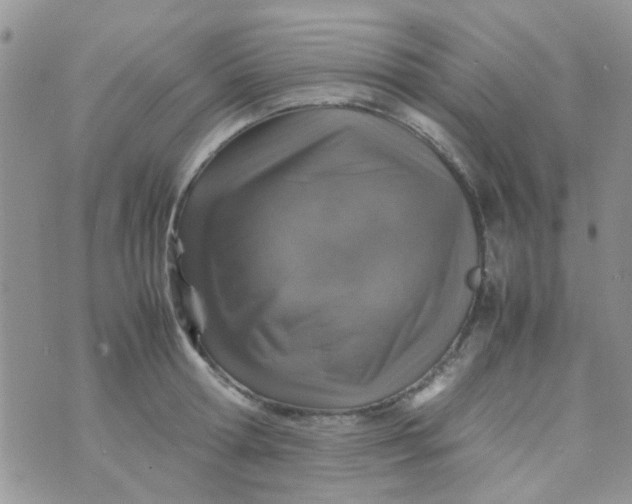 X0000070410802200606302035