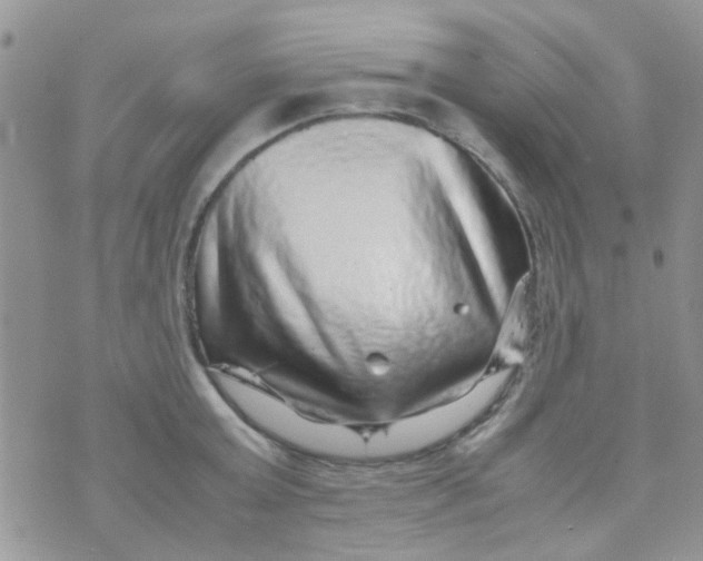 X0000070410803200606302035