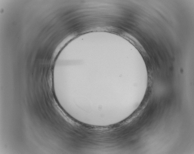 X0000070410804200606302035