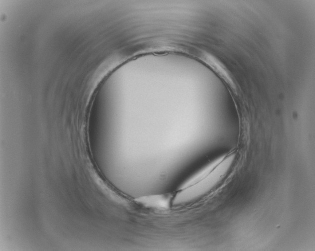 X0000070410805200606302035