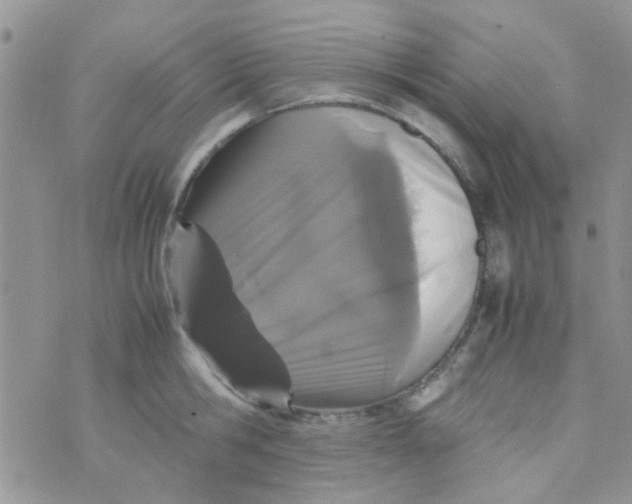 X0000070410806200606302035