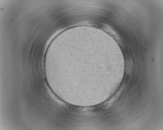 X0000070410808200606302035