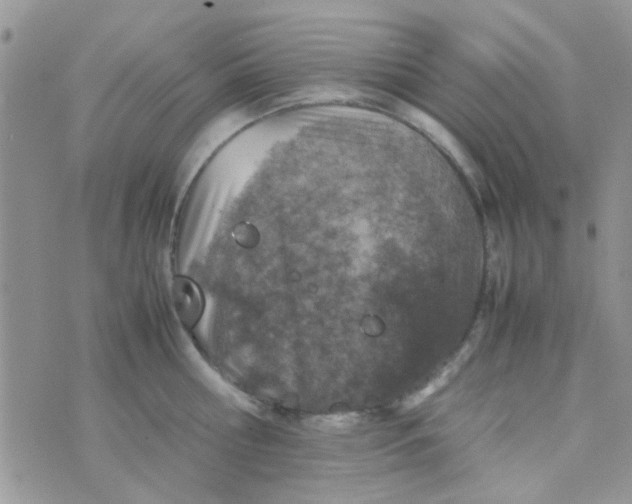 X0000070410810200606302035