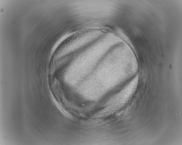 X0000070410811200606302035